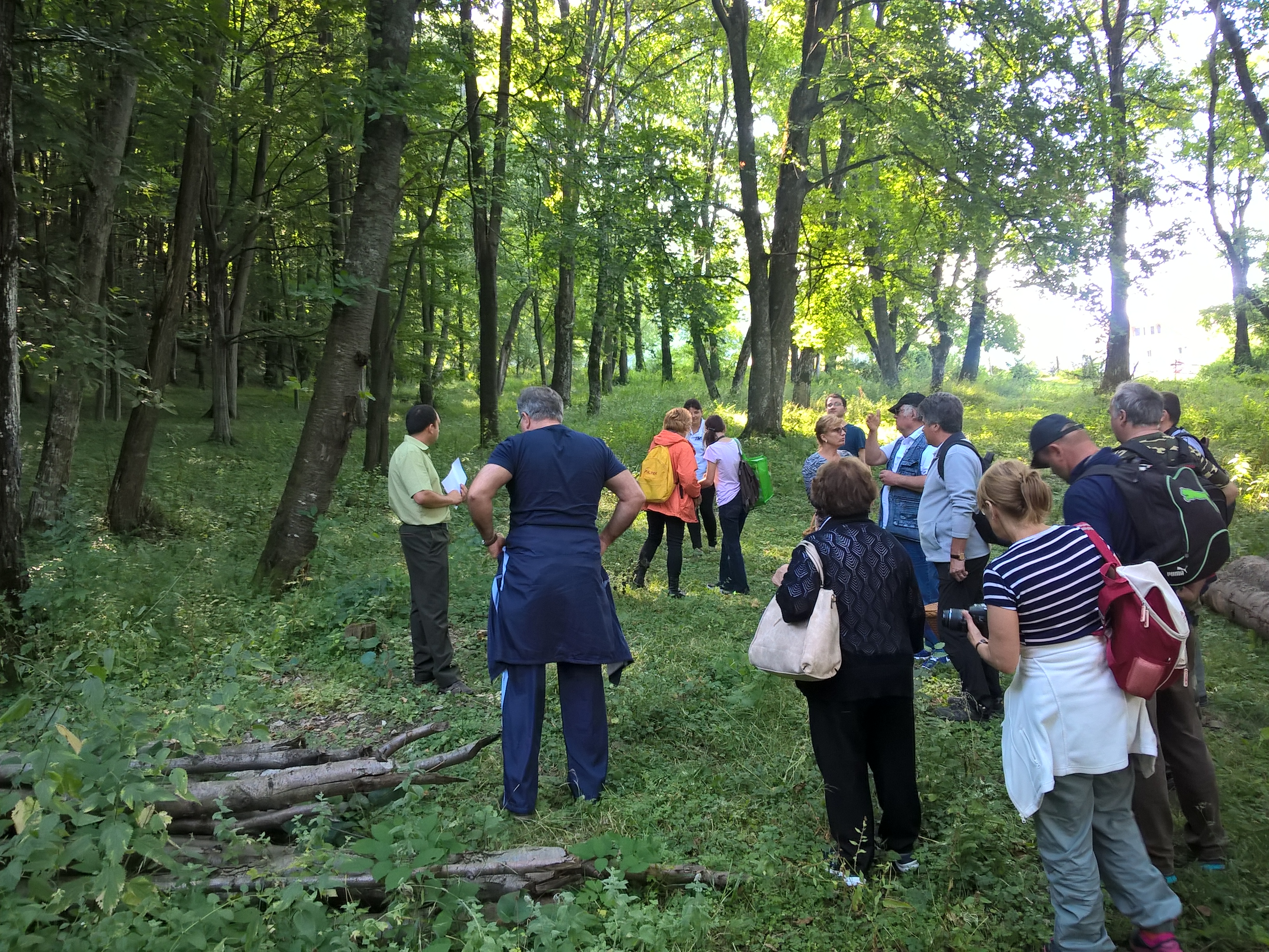 Tabăra micologică, Ediția a II-a, 18-21 august 2016, Rânca - Județul Gorj